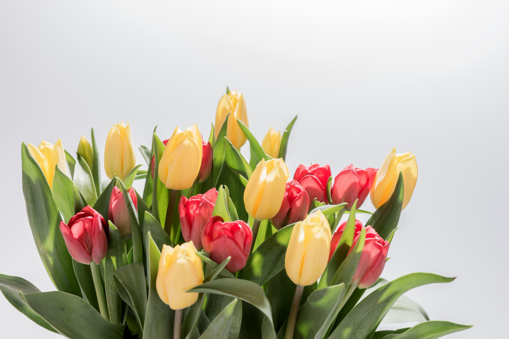 Как хранить тюльпаны: советы по уходу, обрезке и оживлению Как хранить тюльпаны